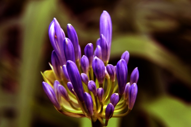 故事背后 故事背后