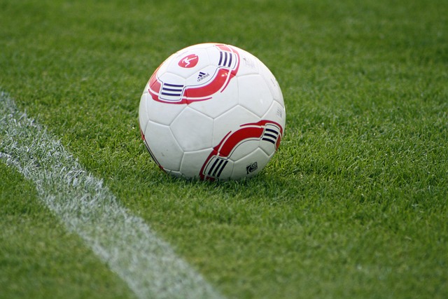 涯的影响 涯的影响